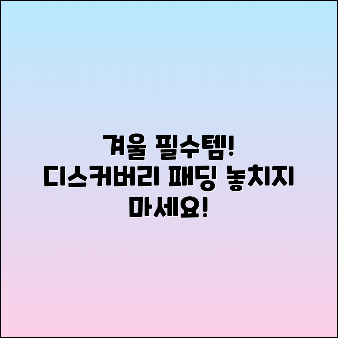 디스커버리패딩, 겨울 필수 아이템!