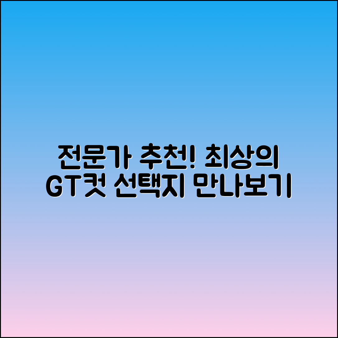 gt컷: 전문가 추천! 최상의 선택지를 만나보세요