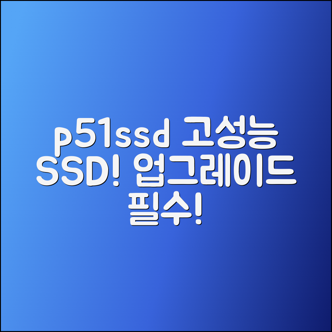 p51ssd: 고성능 SSD로 업그레이드하세요!